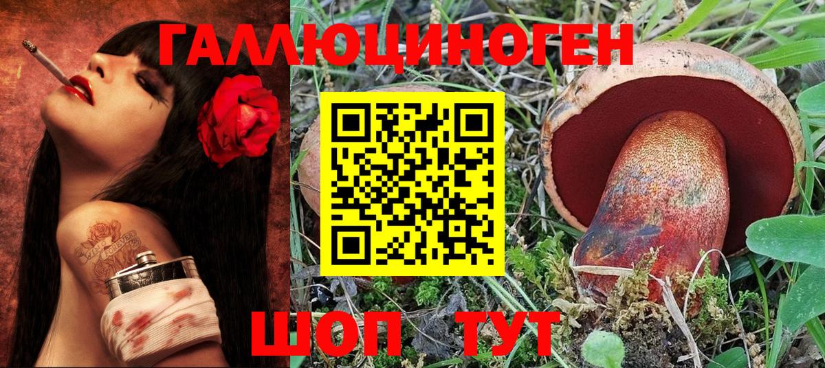 Псилоцибиновые грибы Psilocybe Можайск